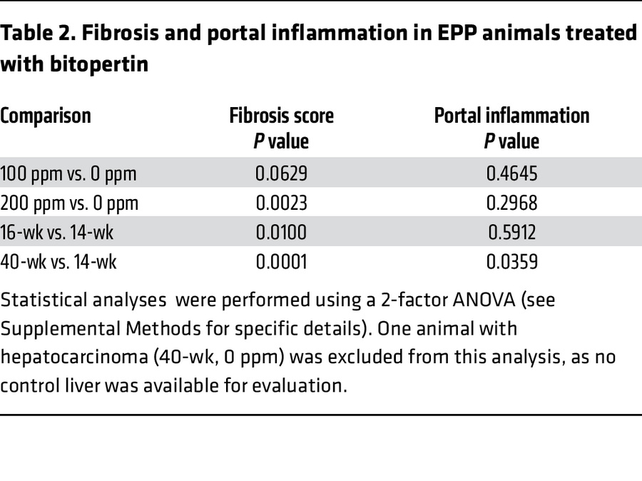 Fibrosis and portal inflammation in EPP animals treated with bitopertin