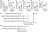 Liver response to bitopertin treatment in EPP mice.