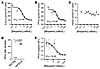 In vitro effects of bitopertin in the K562-EPP cell line and FECH-depleted