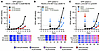 In vitro effects of bitopertin in erythroblasts differentiated from EPP pat