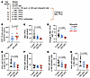 PPIX accumulation and erythroid differentiation in male EPP mice fed 100 or