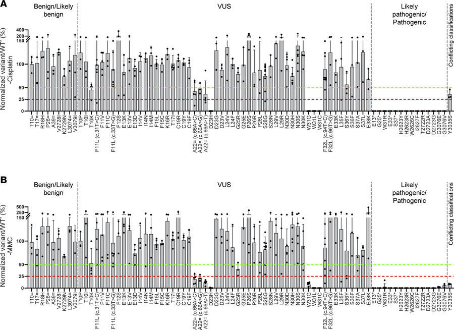 Normalized variant/WT′ ratios under cisplatin and MMC treatment.
The nor...