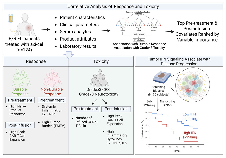graphical abstract