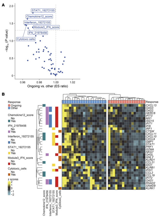 Differential enrichment scores using RNA-seq dataset highlights IFN sign...