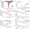 Multivariate analysis of pretreatment covariates identified TNF-α, systemic