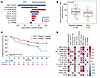 Multivariate analysis of postinfusion covariates identified CAR T cell peak