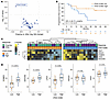 Tumor IFN signaling and T cell inhibitory ligands are associated with lack