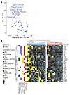 Differential enrichment scores using RNA-seq dataset highlights IFN signali