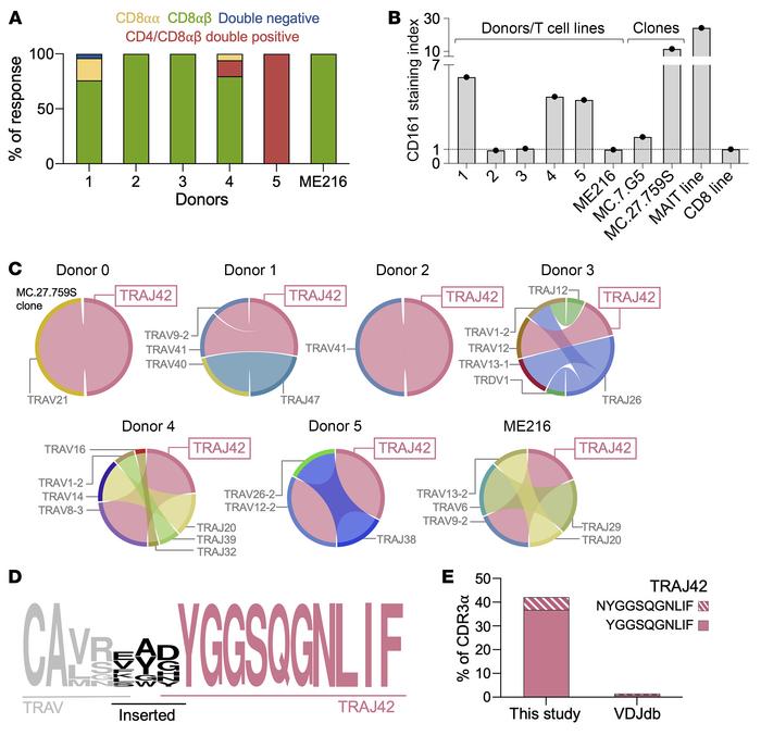 Phenotypic and clonotypic analysis of MR1-restricted cancer-reactive T c...