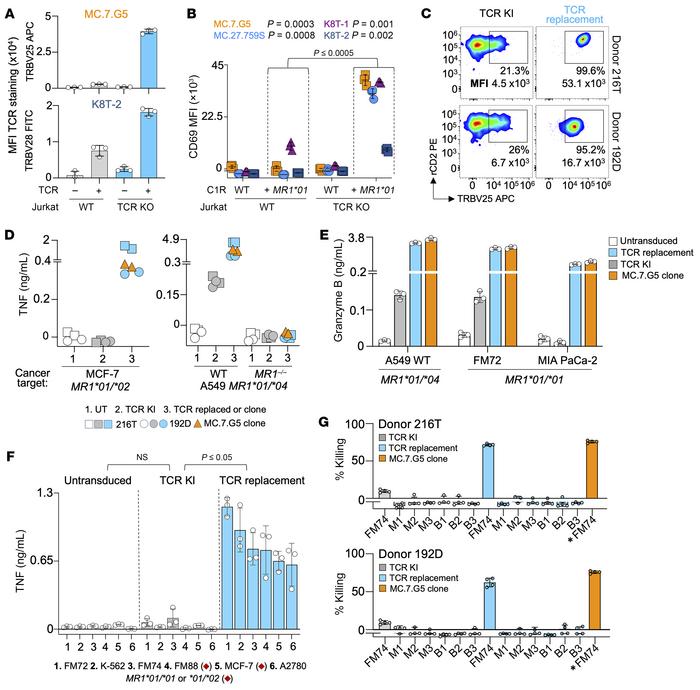Cancer reactivity requires TCR replacement.
(A) WT or TCR-KO E6.1 Jurkat...