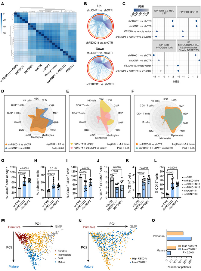 FBXO11 drives mitochondrial respiration and loss of stem cell phenotype ...