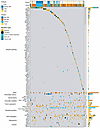 Ubiquitin pathway mutations are frequent and mutually exclusive in AML.