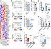 Depletion of FBXO11 promotes the maintenance of HSPCs with myeloid bias.