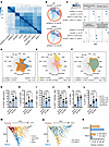 FBXO11 drives mitochondrial respiration and loss of stem cell phenotype thr