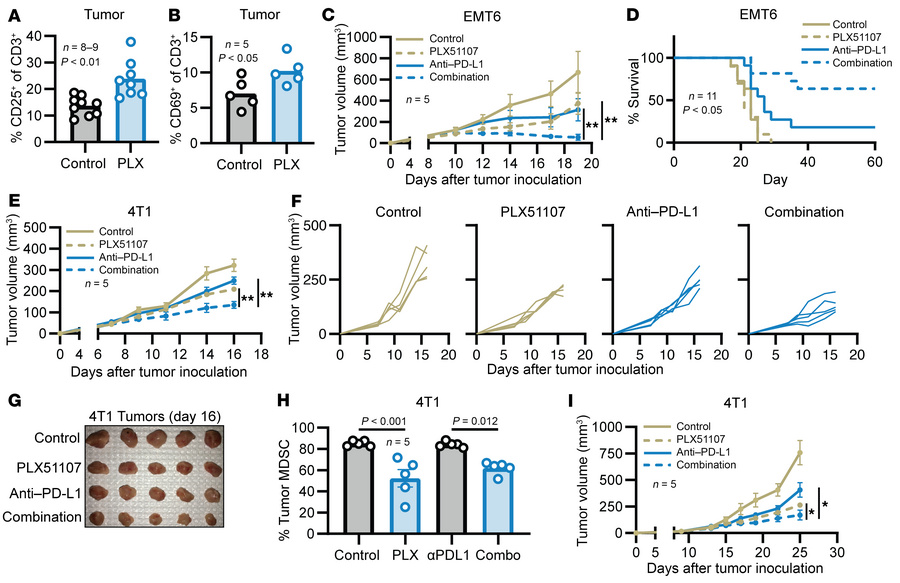 PLX51107 enhances the efficacy of anti–PD-L1 immune checkpoint therapy.
...