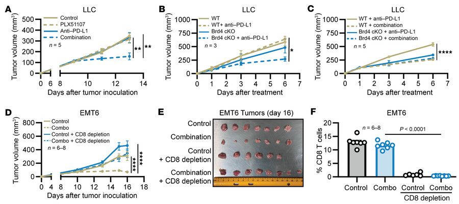 Immune checkpoint therapy enhancement by PLX51107 is dependent on myeloi...