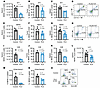 PLX51107 reduces MDSCs in vivo.