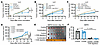 Immune checkpoint therapy enhancement by PLX51107 is dependent on myeloid B