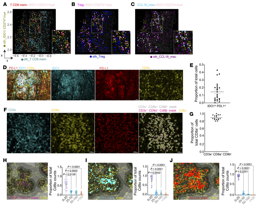 CosMx and IHC validation of cellular neighborhoods.
(A–C) Representative...