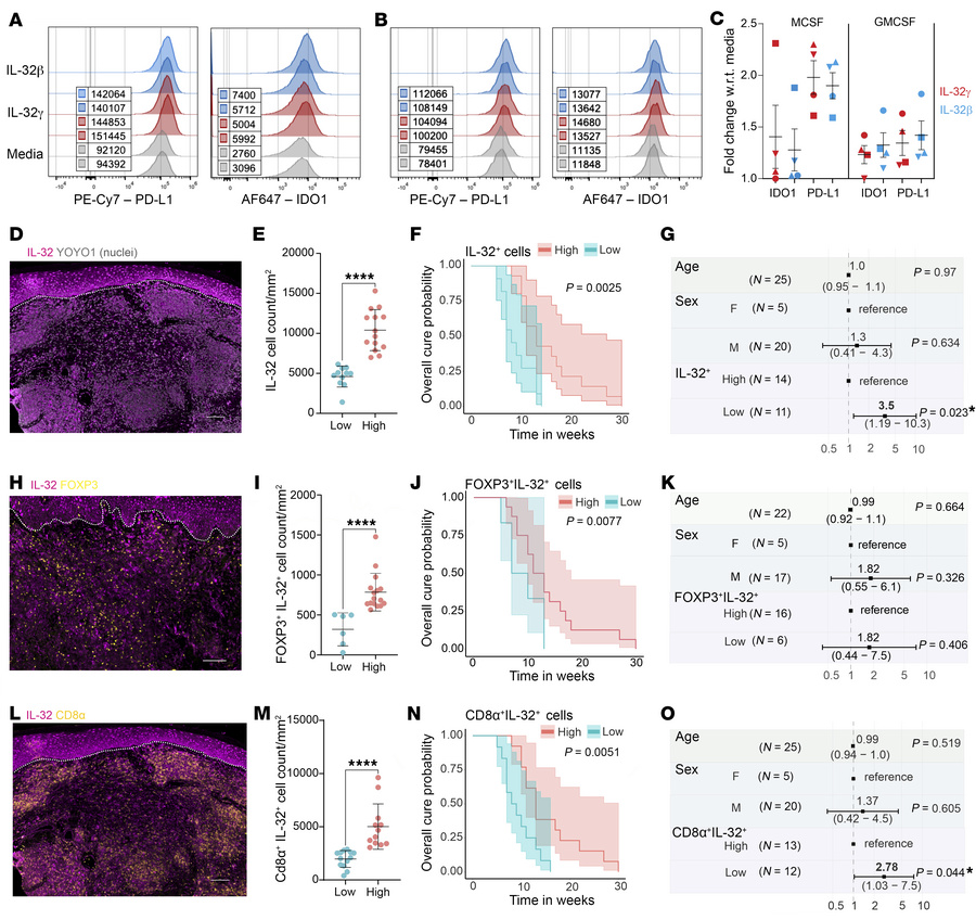 Protein analysis of IL-32-induced IC expression and prognostic value of ...