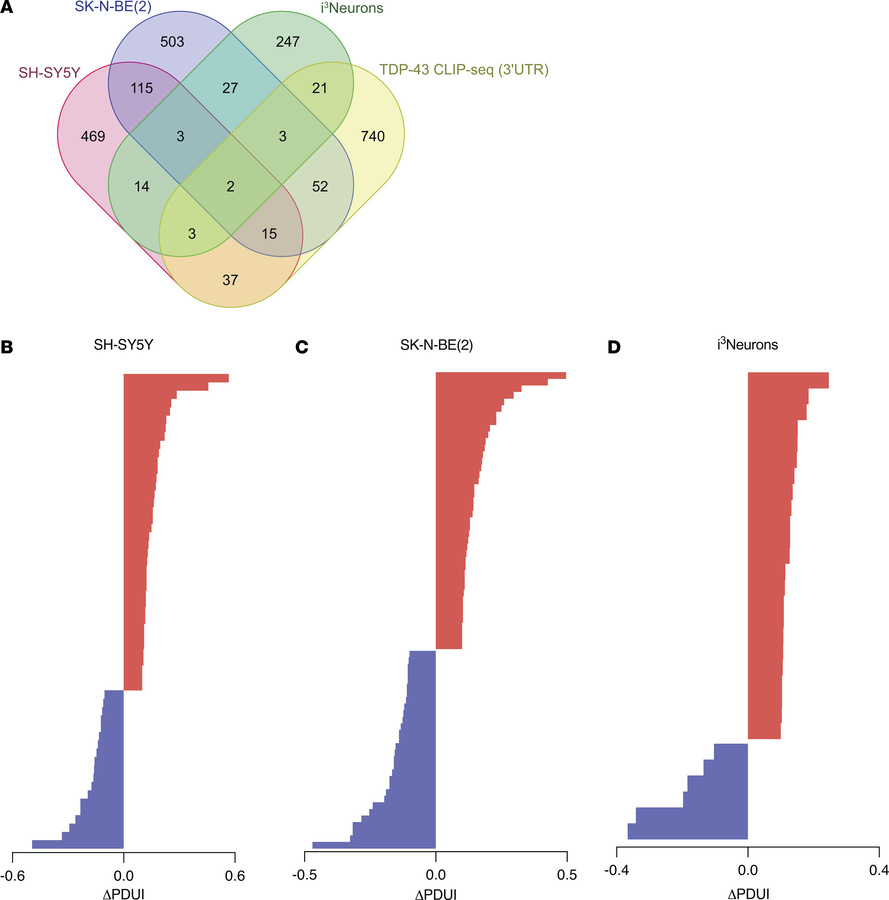 TDP-43 binds within the 3′ UTR of a subset of APA genes, preferentially ...