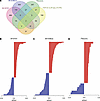 TDP-43 binds within the 3′ UTR of a subset of APA genes, preferentially blo