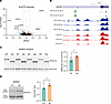 Nuclear clearance of TDP-43 induces APA in ALS/FTD patient neurons.