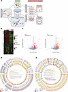 Integrated analysis of patient-derived fibroblasts with start-loss PTBP1 va
