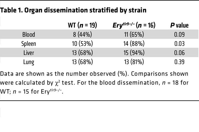 Organ dissemination stratified by strain