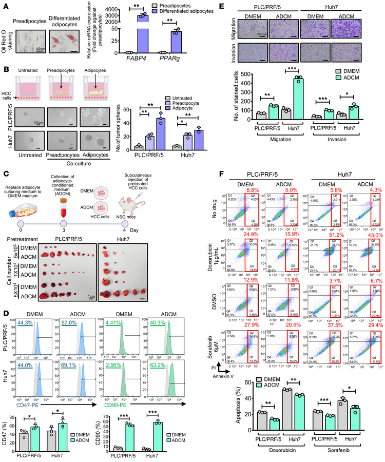Adipocytes enhanced self-renewal and tumorigenicity and drove drug resis...