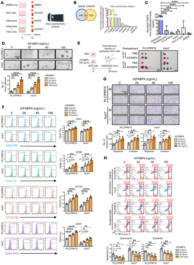Identification of FABP4 as an important secretome conferring CSC propert...