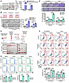 Adipocytes enhanced self-renewal and tumorigenicity and drove drug resistan