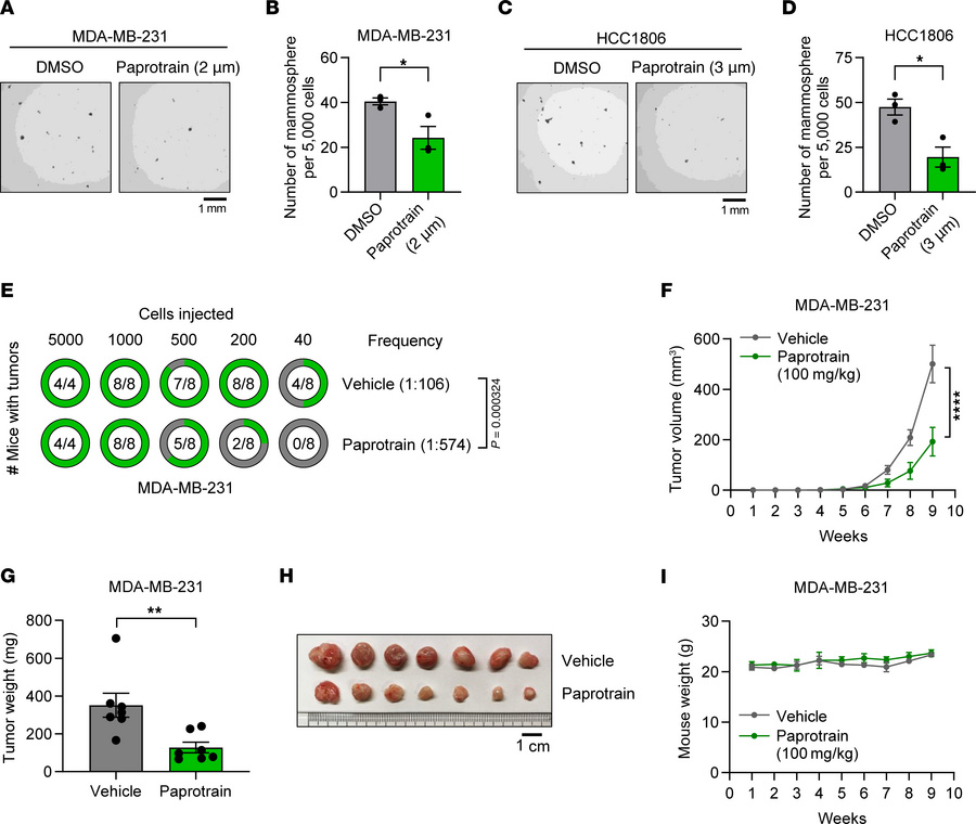 KIF20A inhibitor decreases BCSC self-renewal ability and expansion in vi...