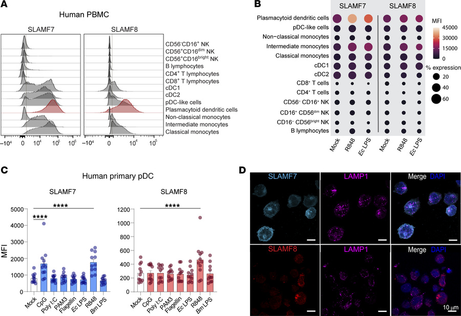 SLAMF7 and SLAMF8 are expressed at high levels in pDCs.
(A and B) SLAMF7...