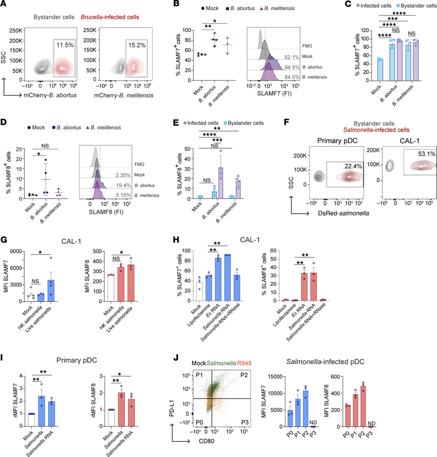 Human pDC infection by Brucella or Salmonella induces SLAMF7 and SLAMF8 ...