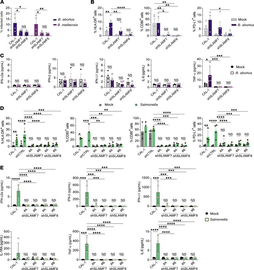 SLAMF7 and SLAMF8 regulate pDC activation and cytokine secretion during ...