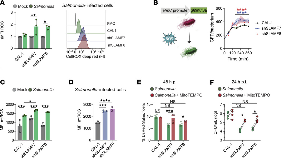 SLAMF7 and SLAMF8 restrict Salmonella clearance by limiting mitochondria...
