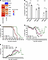 ACC1 inhibition enhances human Treg function in vitro and in vivo.
