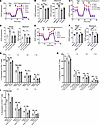 Inhibition of OXPHOS or FAO diminishes the beneficial effect of ACC1 inhibi