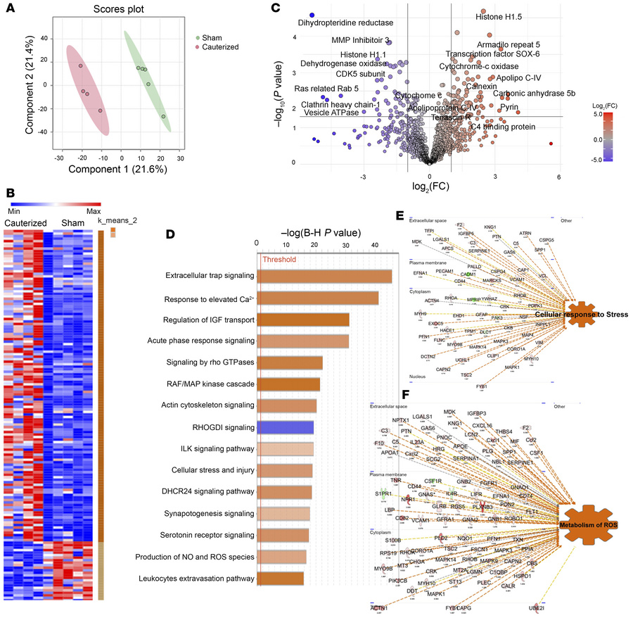 A proteomic signature of acute phase response and oxidative stress is pr...