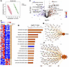 A proteomic signature of acute phase response and oxidative stress is prese