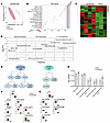 Oxylipins and bile acids are increased in the CSF of young rats with compro