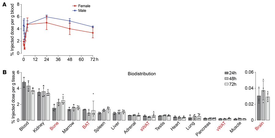 Pharmacokinetics and biodistribution of MS-Hu6 in C57BL/6J mice.
(A) Pha...
