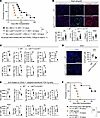 Deletion of LTβR+ signaling on FRCs abrogates transplant tolerance.