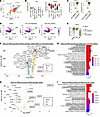 CXCL12hi FRC subsets enriched for genes for T cell migration.
