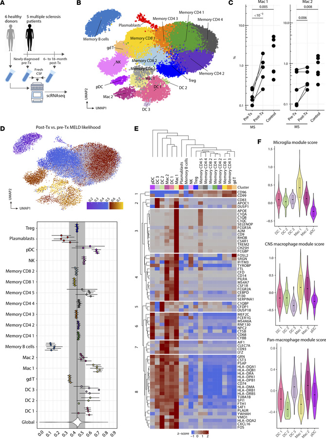 Microglia-like CSF macrophages increase in frequency in patients with MS...