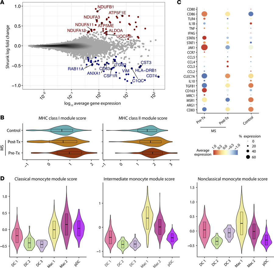 Enriched CSF macrophages present an antiinflammatory phenotype in patien...