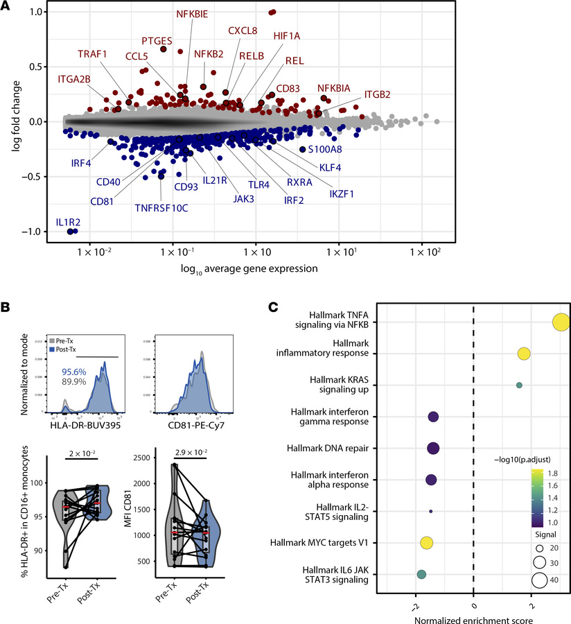 Post-treatment DEGs in CD16+ monocytes.
(A) Mean abundance plot of gene ...