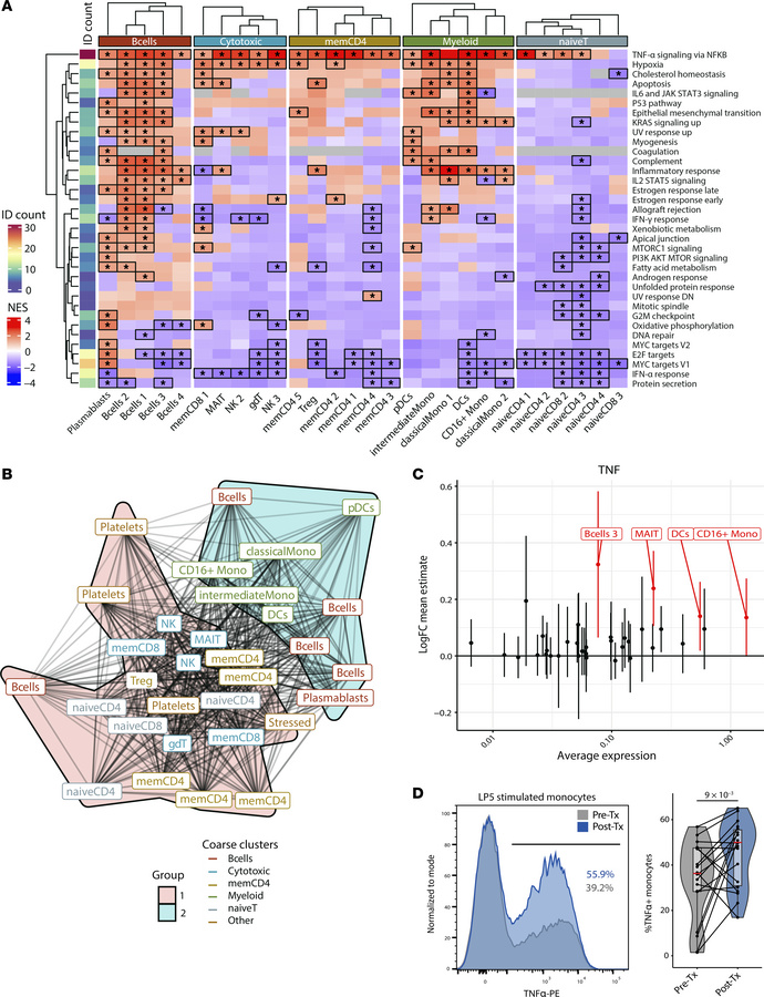 GSEA of anti-CD20 gene expression alterations across cell types.
(A) Hea...