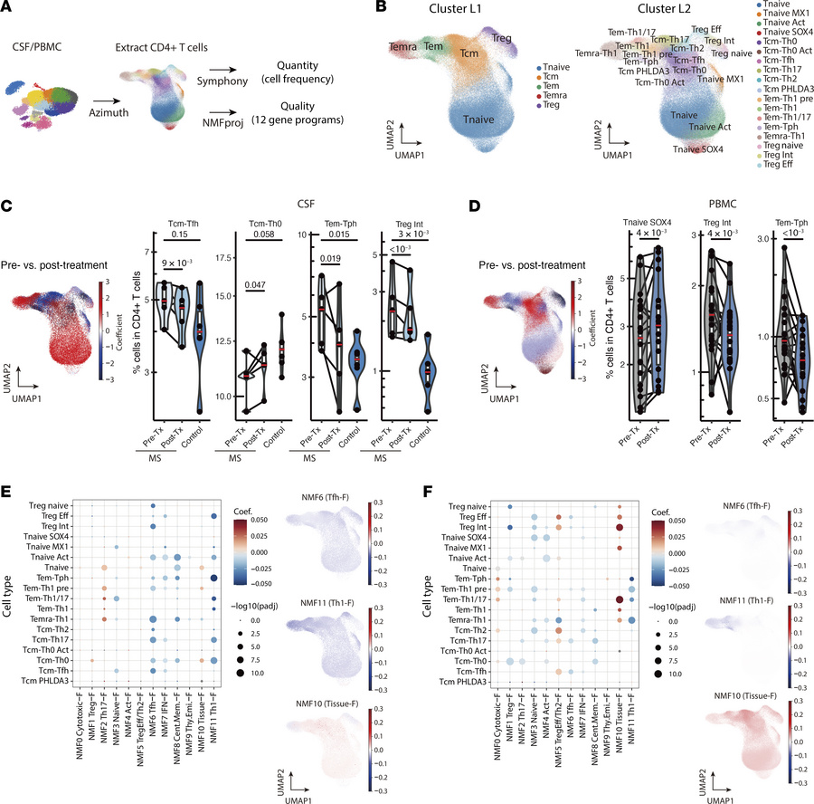 Detailed analysis of CD4+ T cell alterations following anti-CD20 treatme...